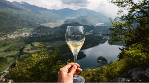 Il Trentodoc, le bolle di montagna