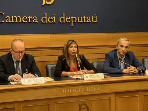 Loizzo: "Superare disomogeneità Nord- Sud in trattamento cancro polmone"