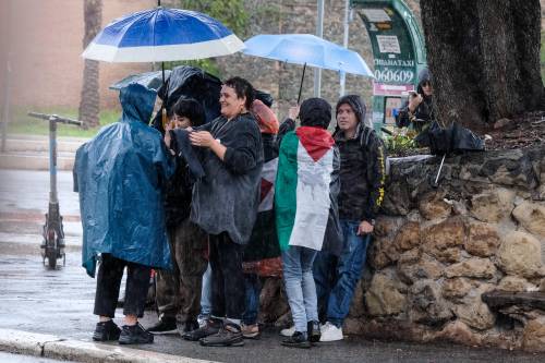 Manifestazione per la Palestina a Roma