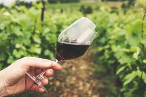 Vino, le grandi famiglie tra catastrofe e speranza. "È una partita a scacchi"