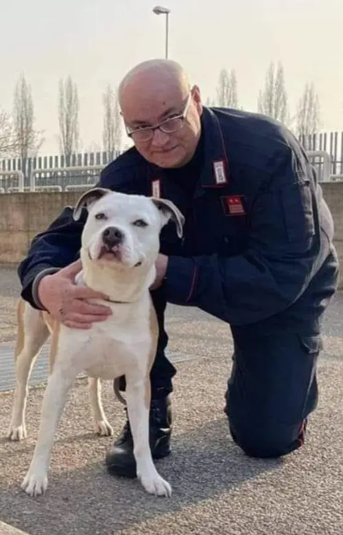 Carriere costruite in ufficio e "apericena". Il maresciallo che smaschera pm e ufficiali