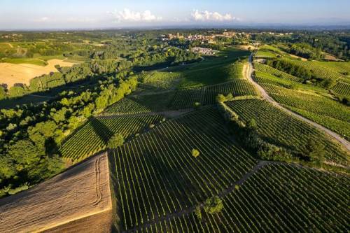 Ruchè, il vino che grida: “Viva il parroco!”