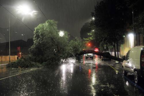 Maltempo a Bologna: alberi caduti, allagamenti ed esondazioni