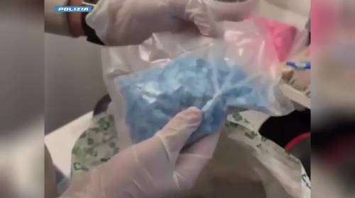 "Blu punisher" e snack ai funghi allucinogeni: l'ingrosso della droga a Milano