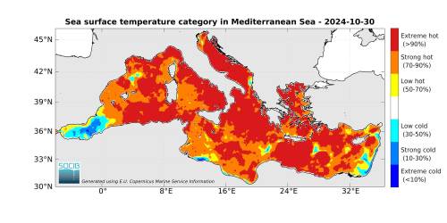 "Non sappiamo cosa succederà". L'allarme sul riscaldamento del Mediterraneo