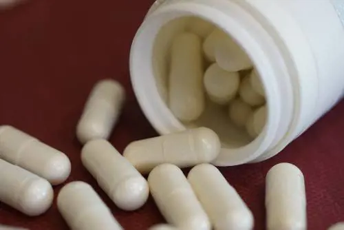Dolori addominali, creati nuovi farmaci sperimentali: come funzionano e a chi sono rivolti