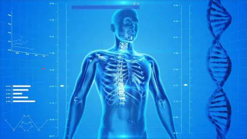 Diabete, quali organi sono i più colpiti dalla malattia