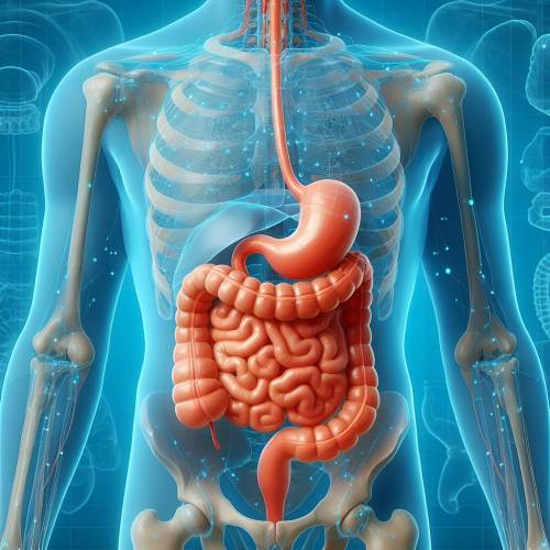 L'uva rossa alleata contro il cancro all'intestino. La sperimentazione che fa sperare 