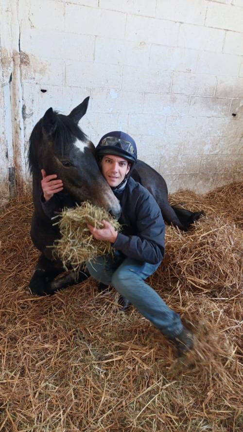 L'amore per il cavallo