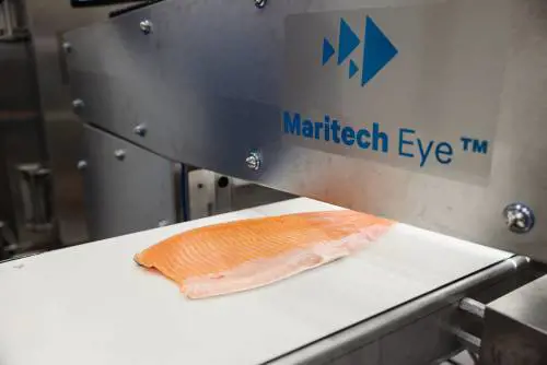 Dal mare alla tavola: un viaggio nel mondo del salmone norvegese