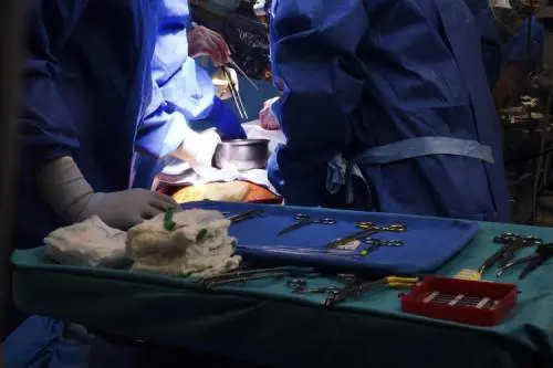 Cuore artificiale permanente, rivoluzione dal 2025: ecco come funziona