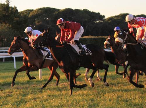 Un arrivo a San Rossore (f.te Ippodromo di San rossore)