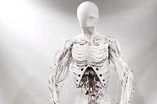 La robotica spaventa: l'inquietante "Clone Alpha", con organi e vene sintetiche (ma senza faccia)