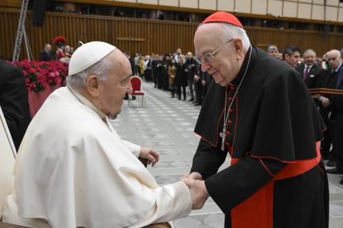 Papa Francesco al Concistoro con un vistoso ematoma