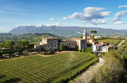 Masciarelli, la natura sulla bottiglia