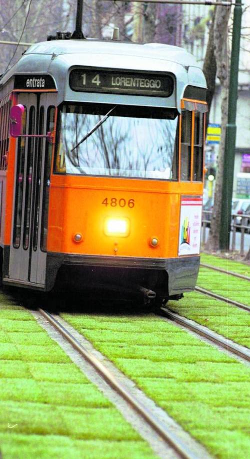 Tram e bus a passo di lumaca e tempi di attesa raddoppiati. La fotografia del Politecnico