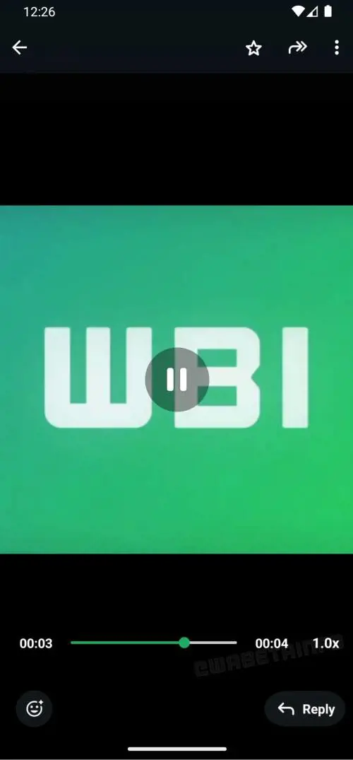 WhatsApp, cambia la riproduzione dei video. Ecco cosa si rinnova