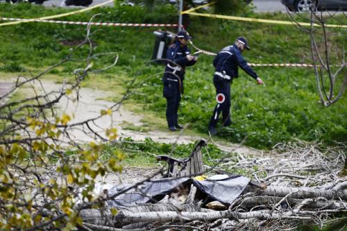 Cade un albero al parco. Donna muore, figli illesi