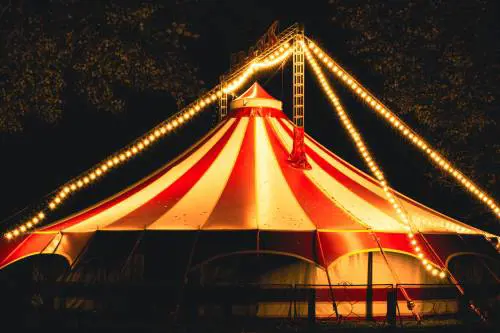 Gli animali da circo? Mandiamoli in pensione