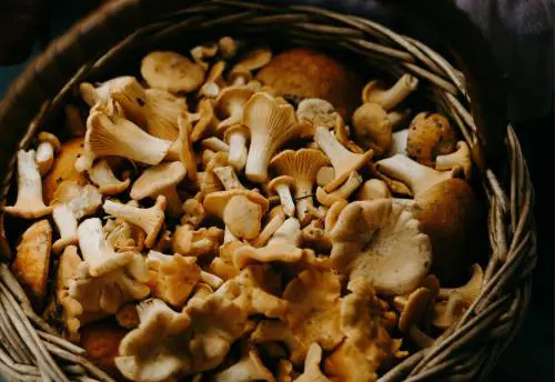 Osteoporosi, quali i cibi di stagione ricchi di vitamina D e K