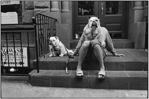 70 years Leica M book Celliott Erwitt