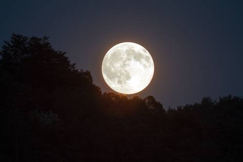 https://img.ilgcdn.com/sites/default/files/styles/md/public/foto/2025/01/08/1736330026-full-moon-1775764-1280.jpg?_=1736330026