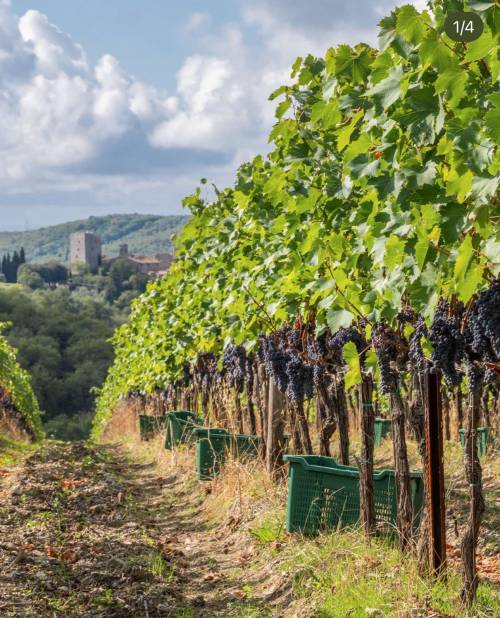 Tenuta Perano, le vibrazioni del Chianti Classico