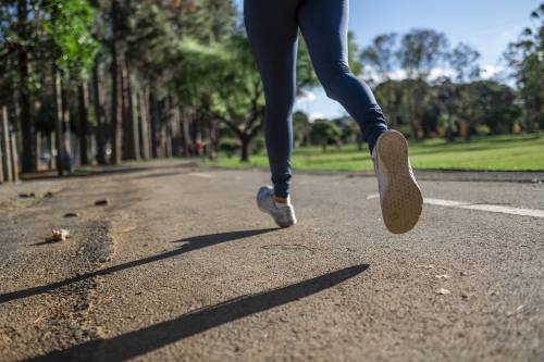 Lo studio sul "grasso bruno", fa bene al cuore e protegge da diabete, cancro e Alzheimer