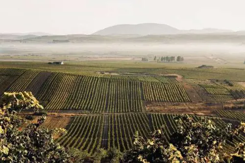 Intorcia, la modernità del Marsala