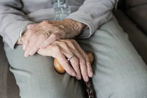 Truffa dei documenti Inps, ecco come funziona: occhio a questi segnali
