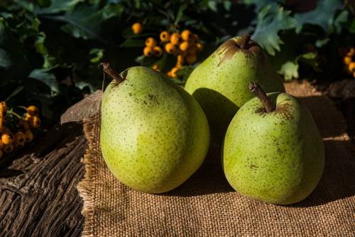 Perché dovresti mangiare più pere. Tutto quello da sapere su questo frutto