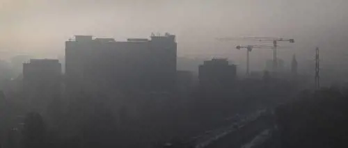 "50mila morti per smog all'anno". Ecco le città italiane più inquinate