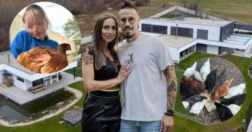 Dal calcio alla fattoria con galline: la nuova vita di Hamsik