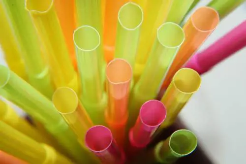 “Torniamo alla plastica!”. Così Trump stronca le cannucce green