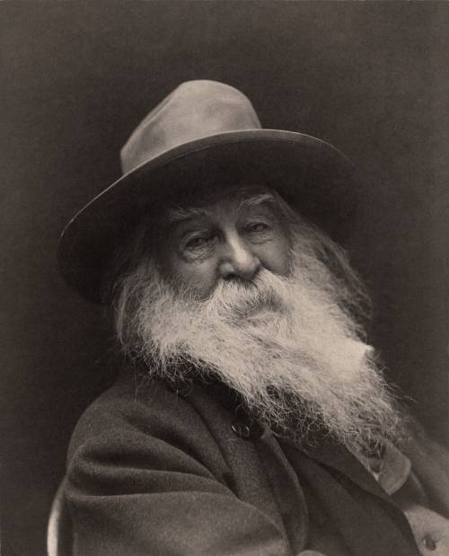 Whitman cantò se stesso per capire le moltitudini