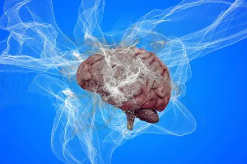 Alzheimer, la speranza è nel litio: la scoperta di Harvard sul "custode" che protegge la memoria