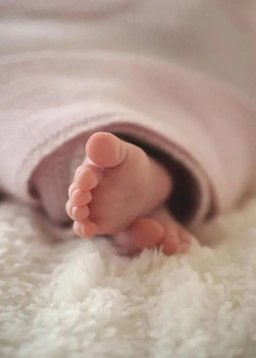 "Sono una vampira" e annega la figlia neonata nel water: l'orrore nel Padovano