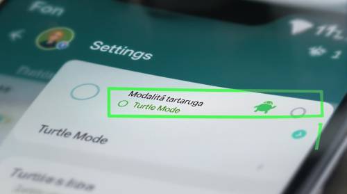 WhatsApp, la bufala sulla "modalità tartaruga": di cosa si tratta