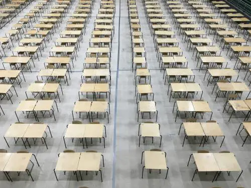 Gender nelle scuole primarie, Sasso: "In Toscana progetti per 600mila euro"