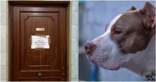 Il pitbull, la casa ripulita e le versioni del padre: cosa non torna sulla morte della piccola Giulia