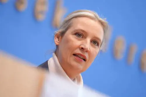 La strana "strage" dei candidati Afd