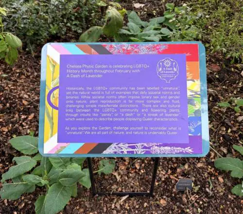 Credit: Zewditu Gebreyohanes