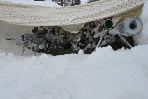 Volpe Bianca 2025: le immagini dell'esercitazione delle Truppe Alpine dell’Esercito