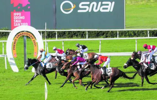 In visita all'Ippodromo e via alle gare di galoppo