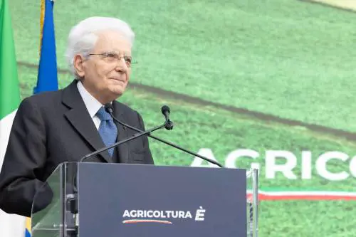 Mattarella: "Dazi inaccettabili. L'Ue può contrastarli, agisca"