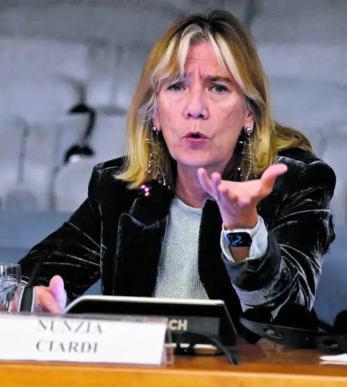 "La nuova guerra è cyber per difendere i nostri dati"