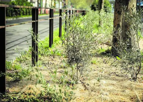 "Green circle" della 90/91, concluso il primo tratto verde