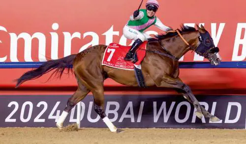 Laurel River, vincitore DWC2024 (www.dubairacingclub.com)