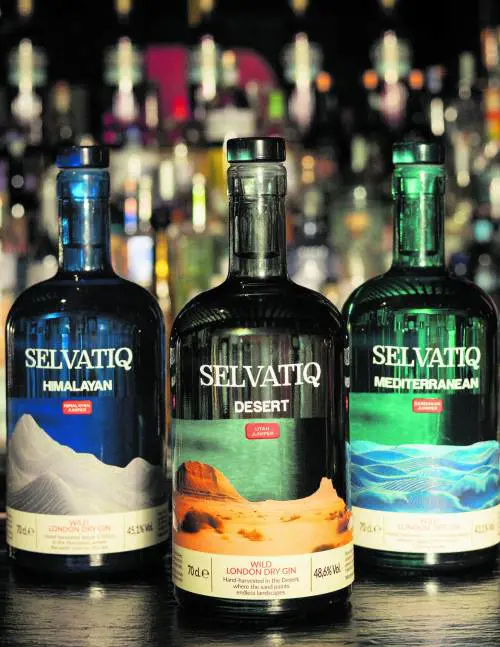 Selvatiq gin, giro del mondo in tre ginepri