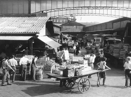 E Morselli spiegò come mangiare sano